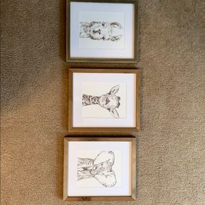 Animal prints in frame